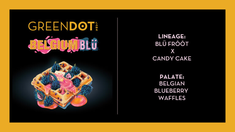 Belgium Blu