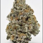 Honey Banana DRO from Rocky Road Thornton, your local recreational dispensary