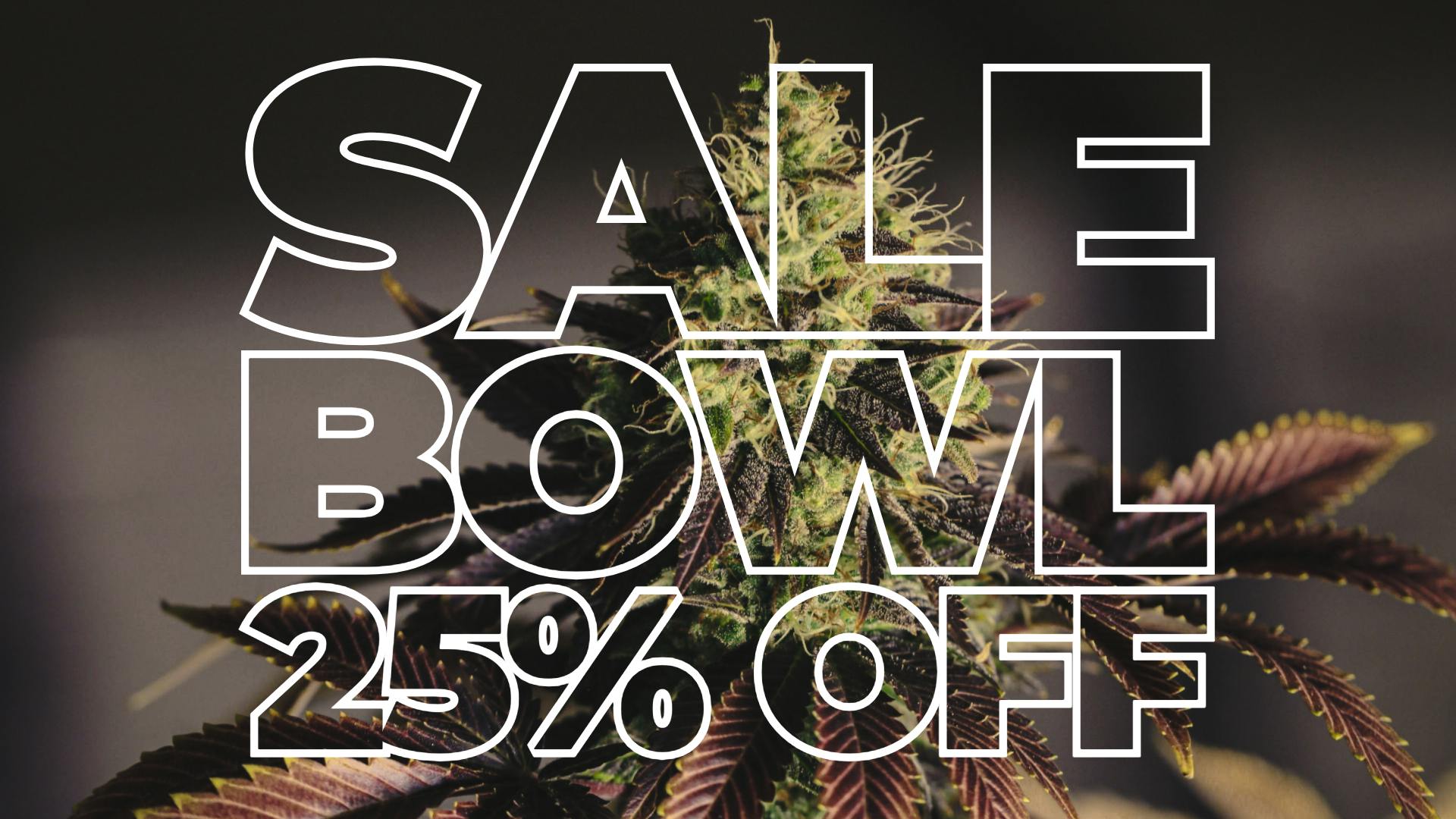Sale Bowl 25% OFF